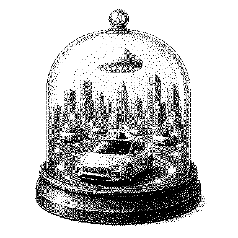Autonomous Vehicle Network Company