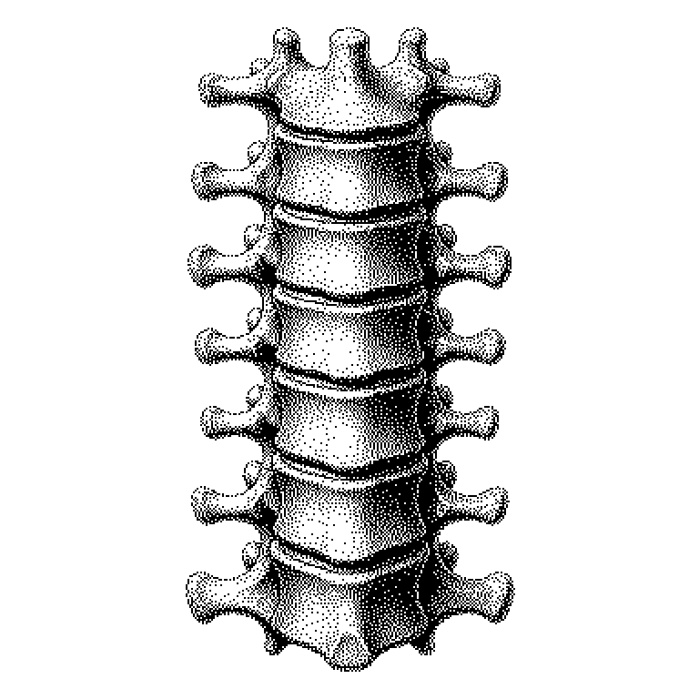 Backbone