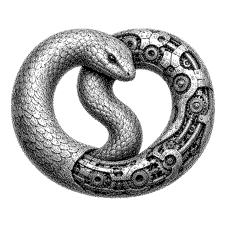 Co-Evolution