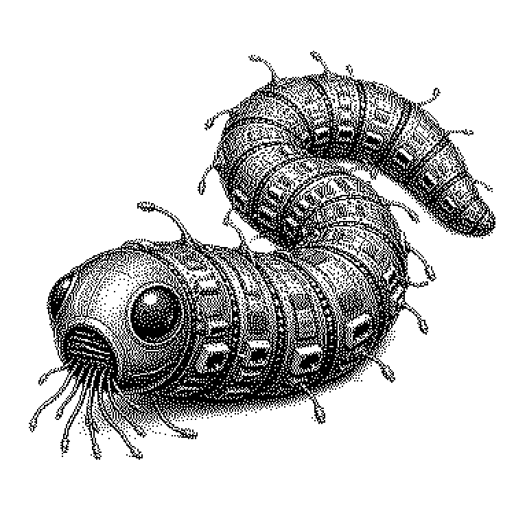 Computerwurm
