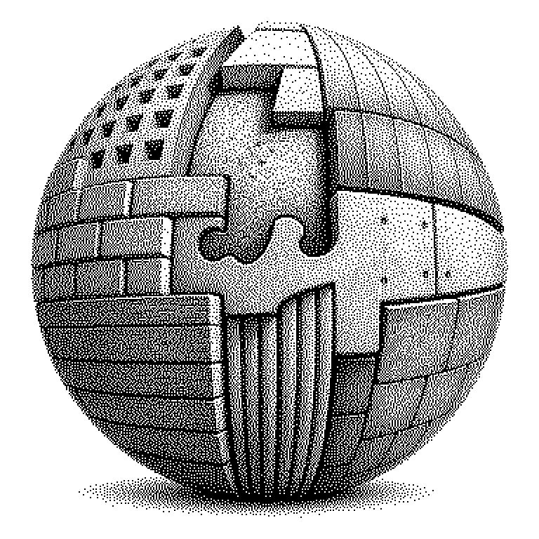 Conway's Law