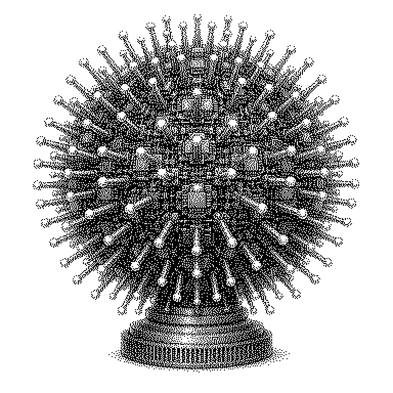 CUDA Core
