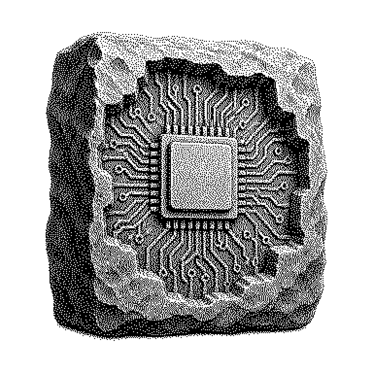Custom Silicon
