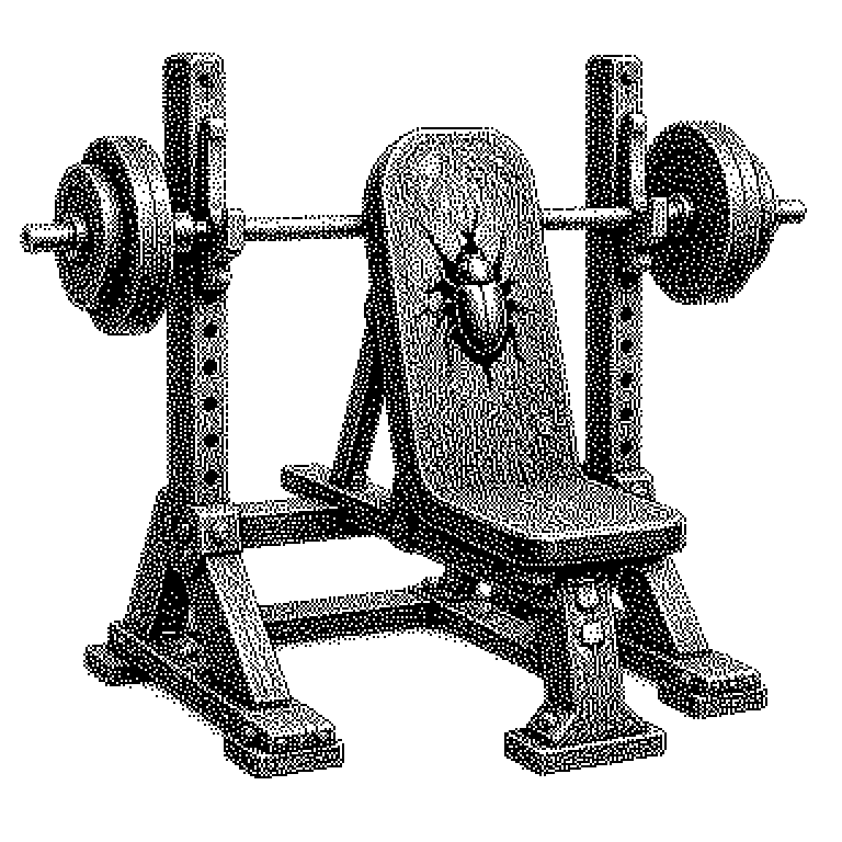 CyberGym