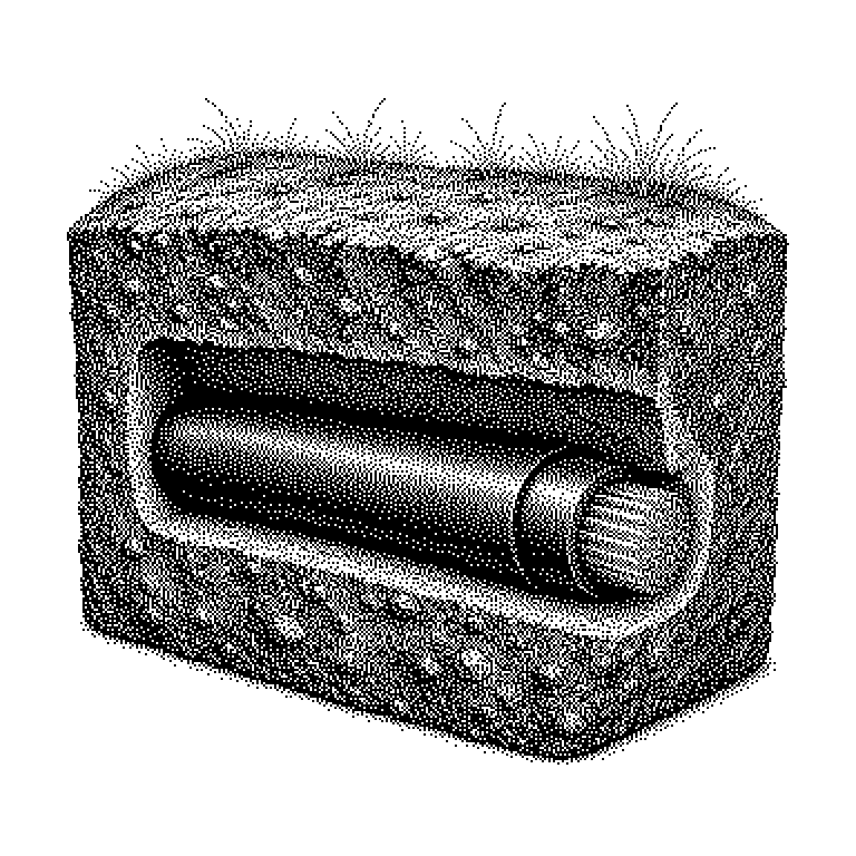 Dark Fiber