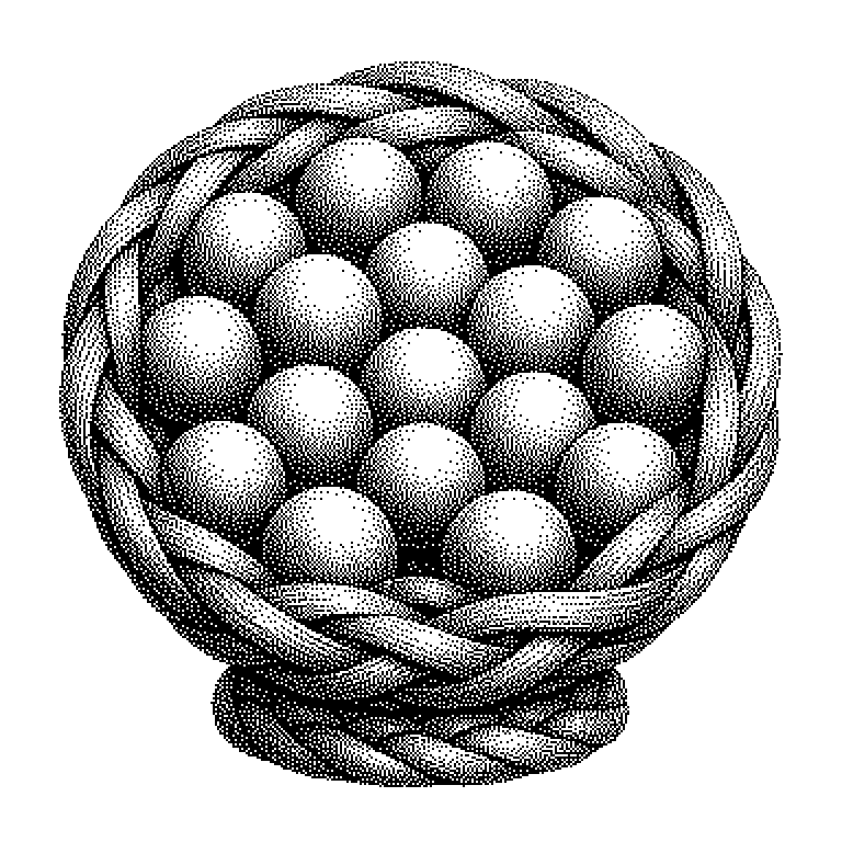 Ensemble