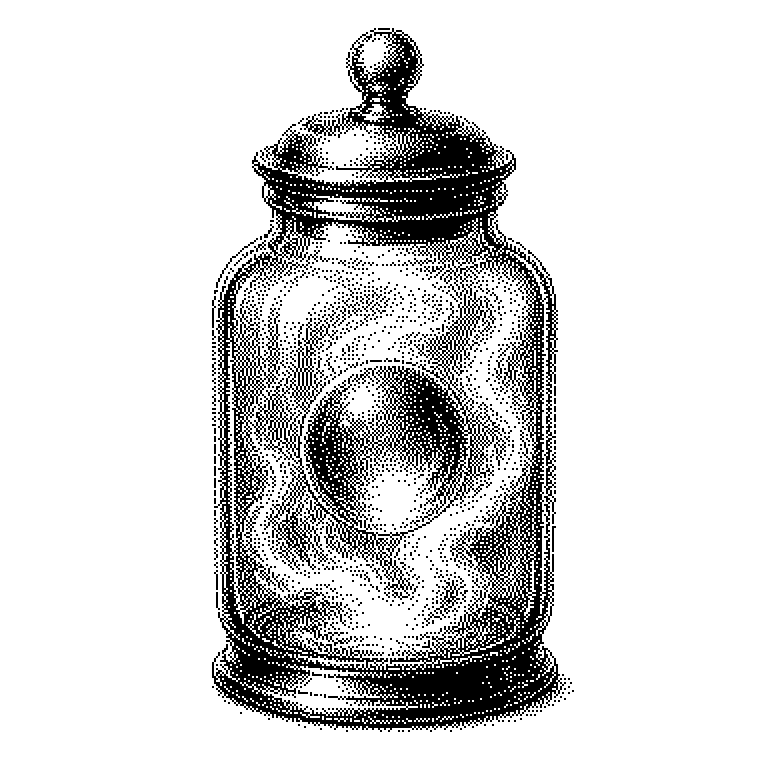 Environment Variable