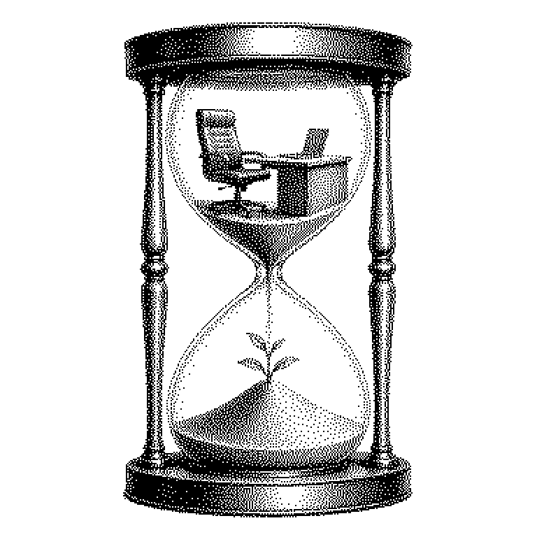 Fractional CTO