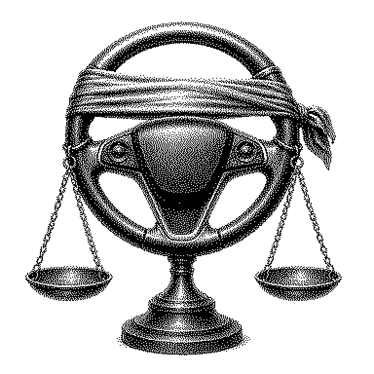 FSD (Full Self-Driving)