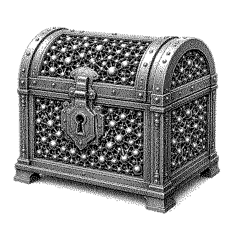 Gewichte