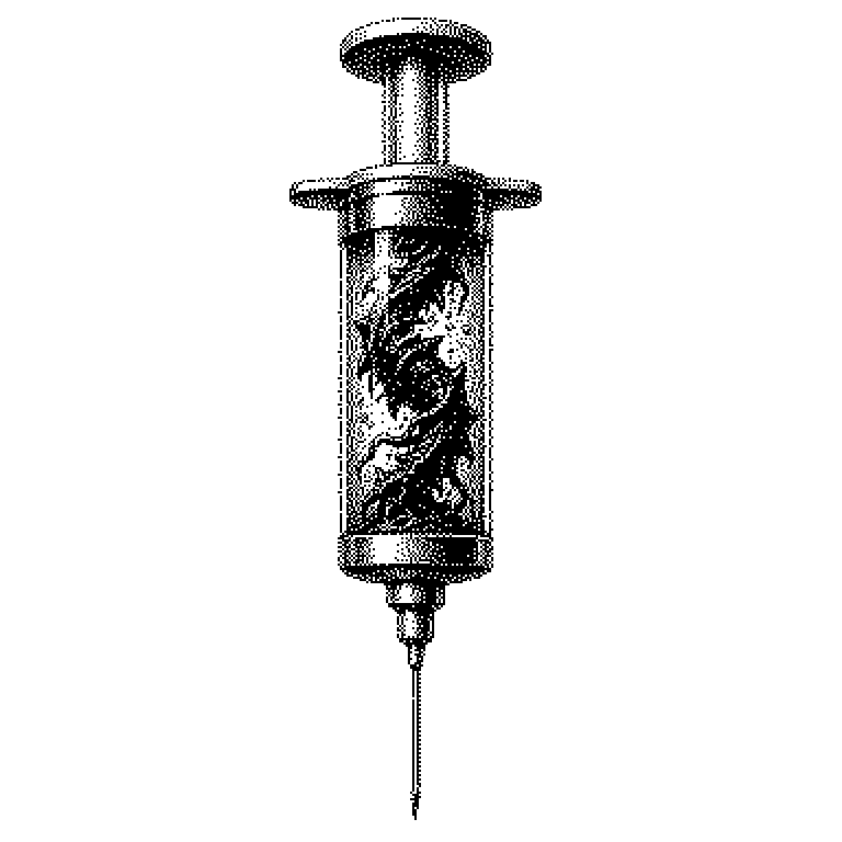 Injection-Payload