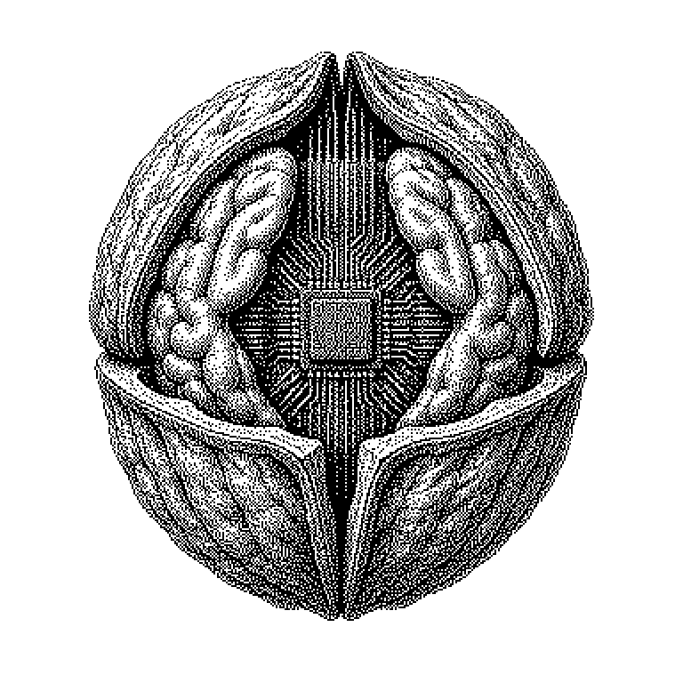 Kernel