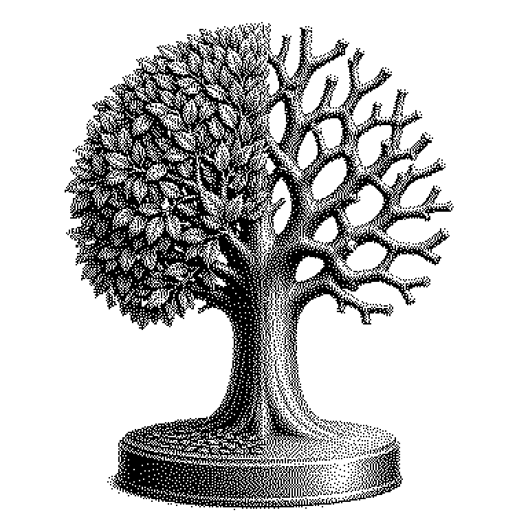 Kontrastives Pruning