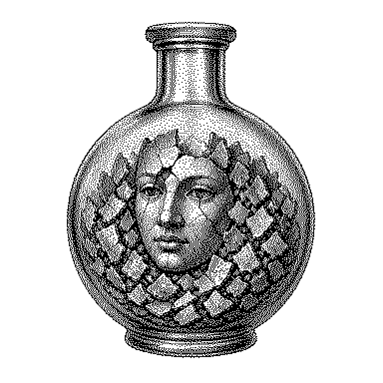 Model Inversion