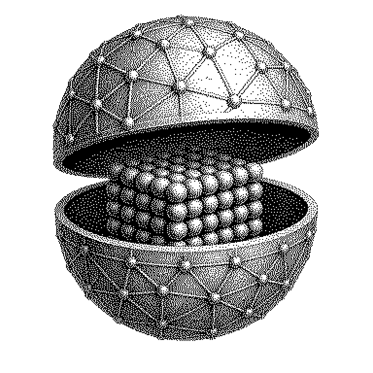 Open-Weight