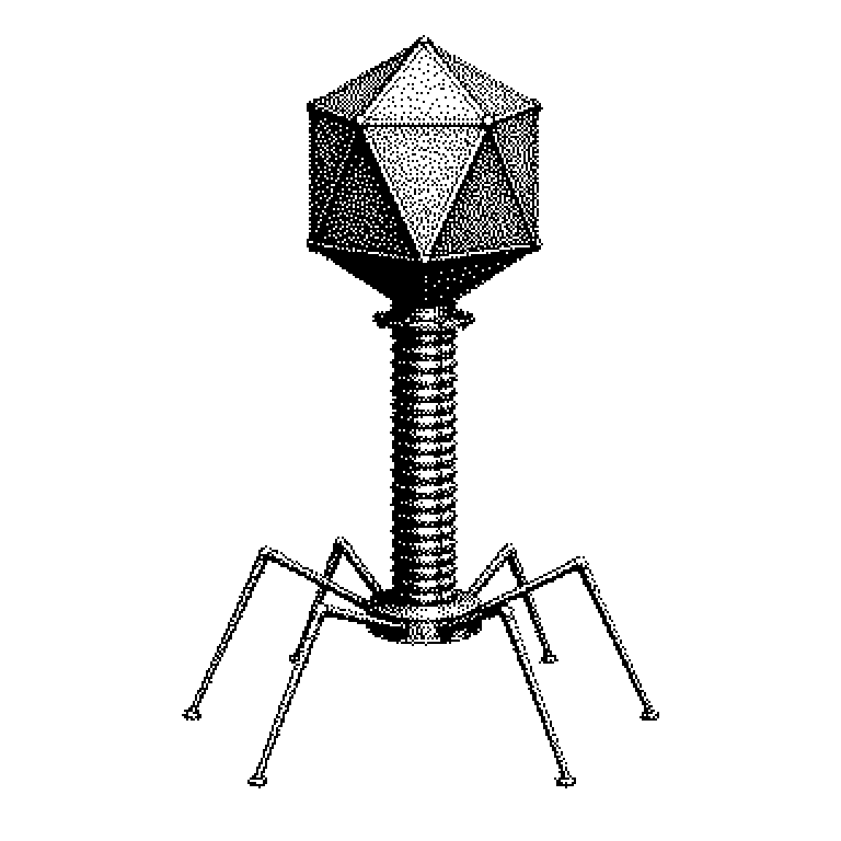 Phi X-174
