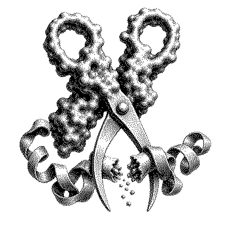 Protease