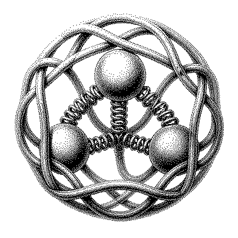 Quantum Chromodynamics