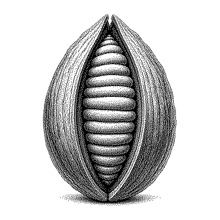 Recovery Seed