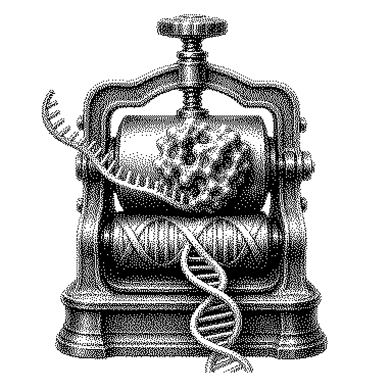 Reverse Transkriptase