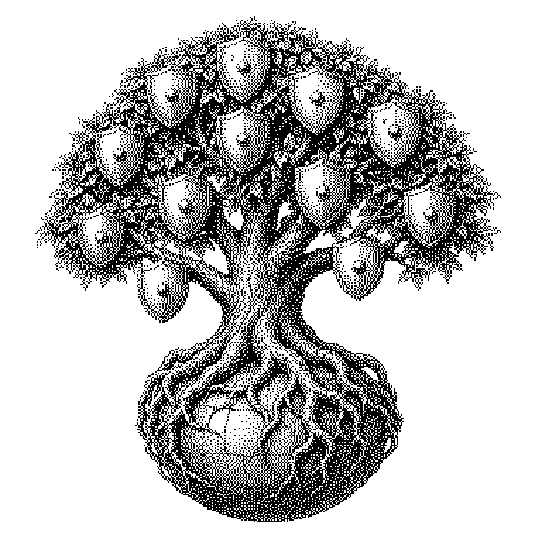 Root Program