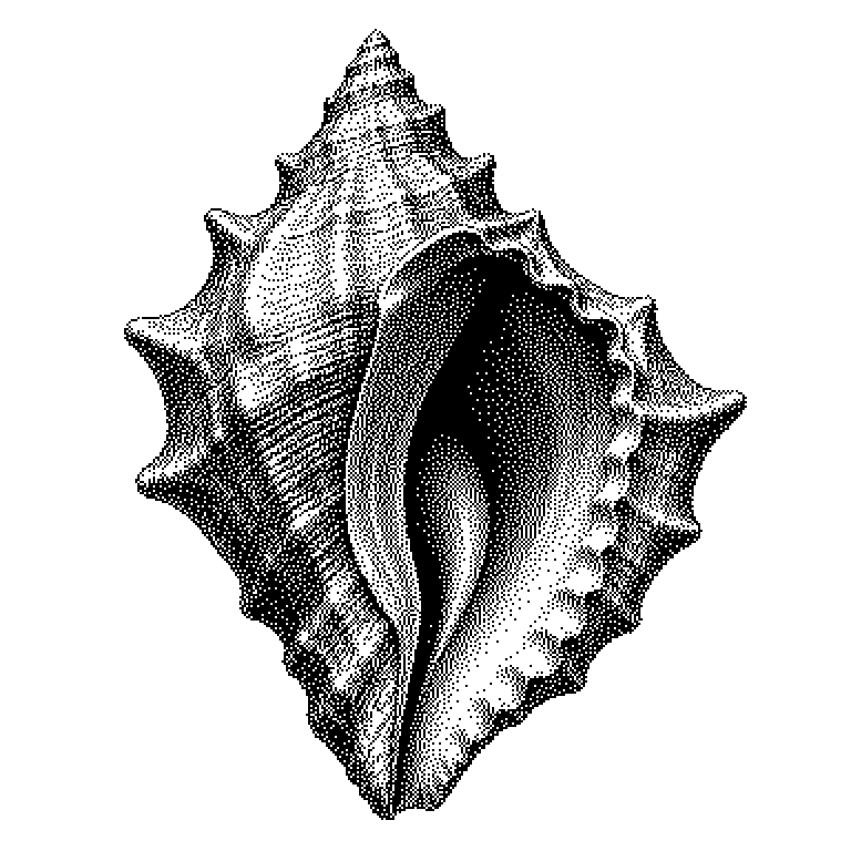 Secure Shell