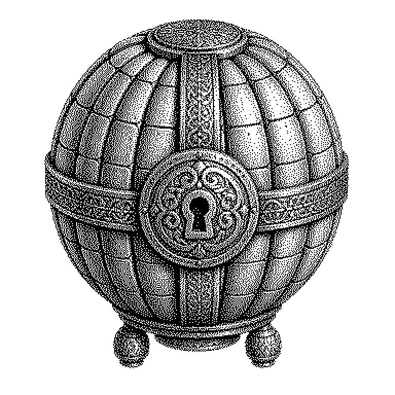 Seed Phrase