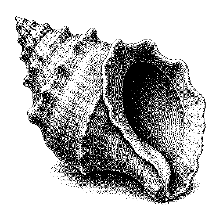 Shell