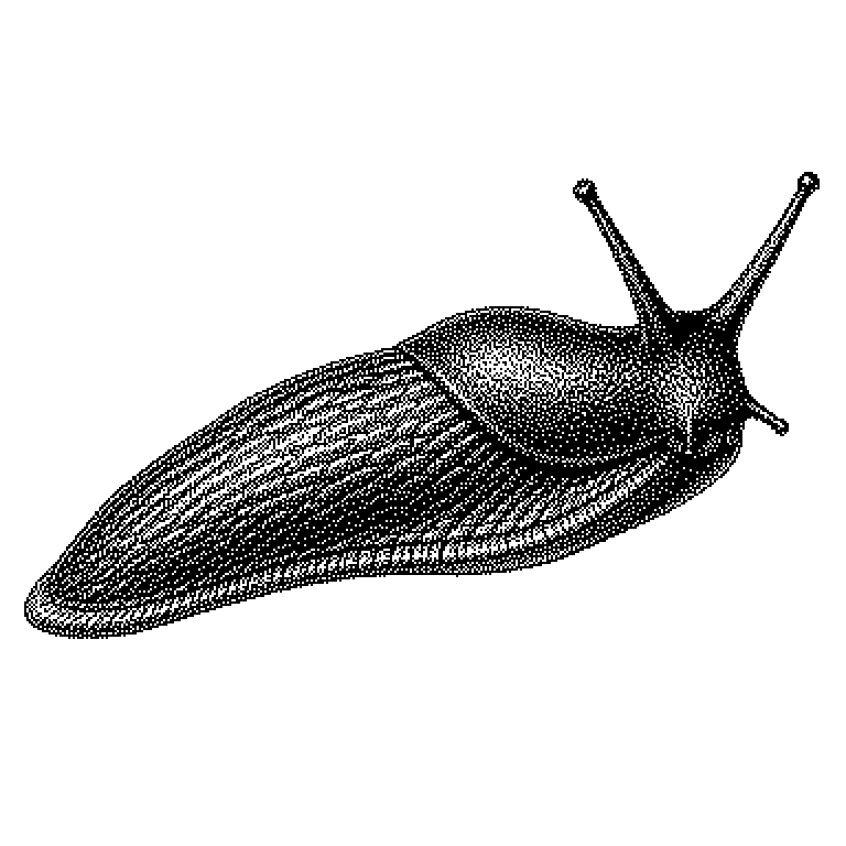 Slug
