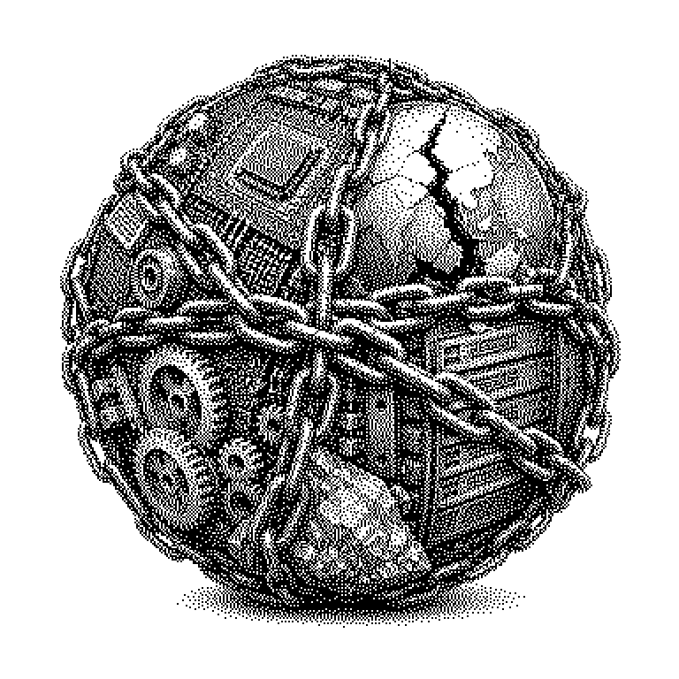 Supply Chain Risk