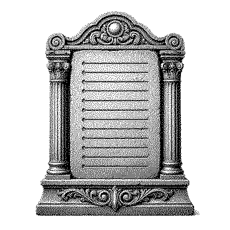 System Instructions