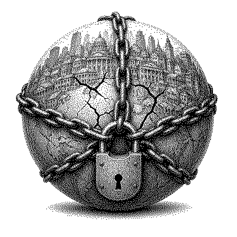 Systemrisiken