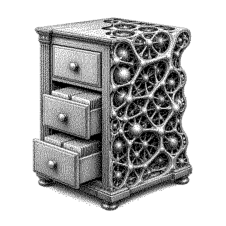 TypeORM