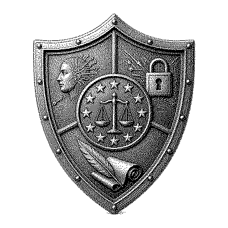 Code of Practice (EU AI Act)