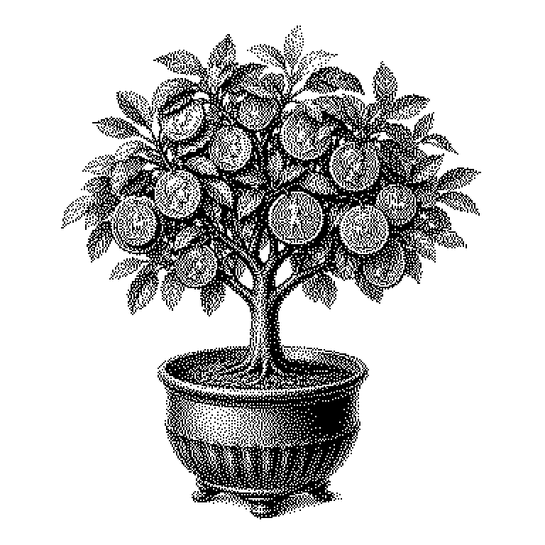 Yield